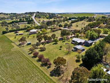 Farm For Sale - NSW - Run-o-waters - 2580 - Exclusive Lifestyle Estate in Coveted Run-O-Waters  (Image 2)