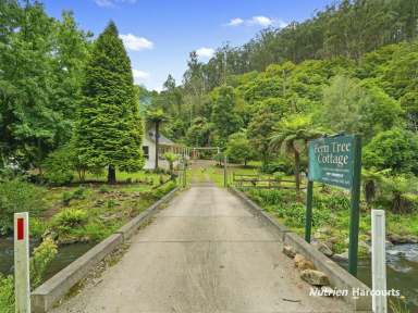 Farm For Sale - VIC - Tarra Valley - 3971 - River Cottage in Tarra Valley  (Image 2)