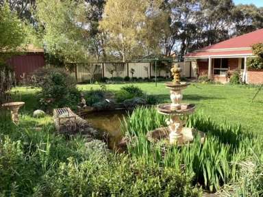 Farm For Sale - VIC - Haddon - 3351 - Large, 4 Bedroom Family Home; Extensive Shedding; 72 acres of pasture.  (Image 2)