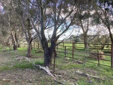 Farm For Sale - VIC - Haddon - 3351 - 16.2Ha (approx. 40 acres) Grazing Lane; RAZ; Private Location; Power & Town Water  (Image 2)