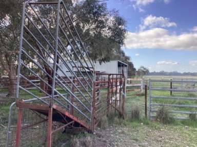 Farm For Sale - VIC - Haddon - 3351 - 16.2Ha (approx. 40 acres) Grazing Lane; RAZ; Private Location; Power & Town Water  (Image 2)