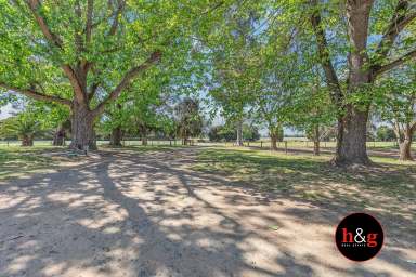 Farm For Sale - VIC - Tongala - 3621 - THIS IS WHERE YOU'LL WANT TO LIVE  (Image 2)