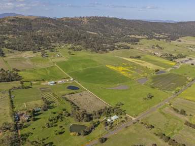 Farm For Sale - TAS - Tea Tree - 7017 - Exceptional mixed-use farm with stunning sandstone residence in Coal River Valley  (Image 2)