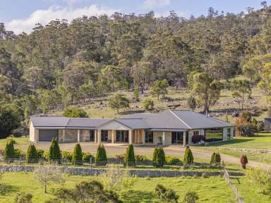 Farm For Sale - TAS - Tea Tree - 7017 - Exceptional mixed-use farm with stunning sandstone residence in Coal River Valley  (Image 2)