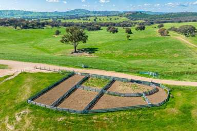 Farm For Sale - NSW - Mullengandra - 2644 - WELL IMPROVED GRAZING PROPERTY IN A PRIME LOCATION | 1430*Acres/ 578.7*Ha  (Image 2)