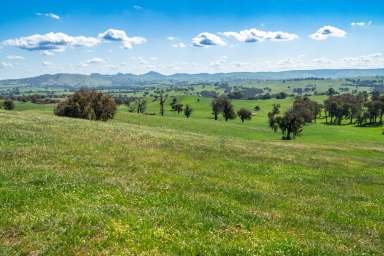 Farm For Sale - NSW - Mullengandra - 2644 - WELL IMPROVED GRAZING PROPERTY IN A PRIME LOCATION | 1430*Acres/ 578.7*Ha  (Image 2)