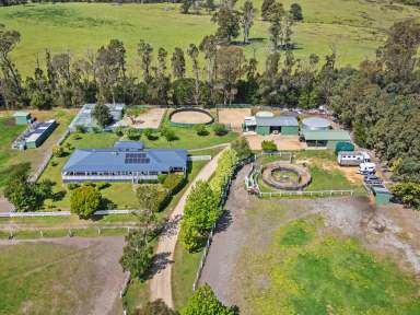 Farm For Sale - VIC - Sarsfield - 3875 - COUNTRY RETREAT WITH PREMIER EQUESTRIAN FACILITIES  (Image 2)