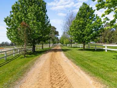 Farm For Sale - VIC - Sarsfield - 3875 - COUNTRY RETREAT WITH PREMIER EQUESTRIAN FACILITIES  (Image 2)