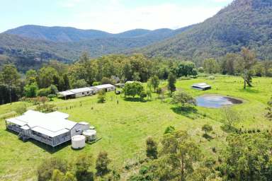 Farm Auction - NSW - Kyogle - 2474 - AUCTION - 200 ACRES JOINING THE BORDER RANGES  (Image 2)