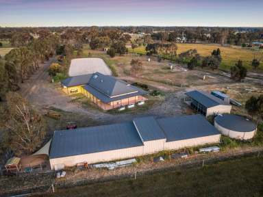 Farm For Sale - VIC - Goornong - 3557 - Equestrian Paradise: Stunning Sandstone Home with Arena, Stables & Horse Safe Paddocks  (Image 2)