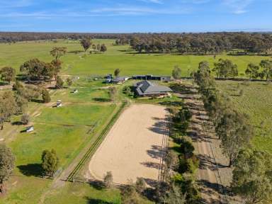 Farm For Sale - VIC - Goornong - 3557 - Equestrian Paradise: Stunning Sandstone Home with Arena, Stables & Horse Safe Paddocks  (Image 2)