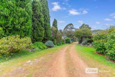 Farm For Sale - WA - Mount Barker - 6324 - Call This Place Home!  (Image 2)