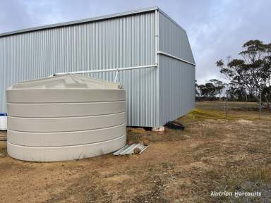 Farm For Sale - WA - Gabbin - 6476 - UNDER OFFER  (Image 2)