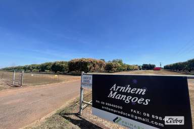 Farm For Sale - NT - Lambells Lagoon - 0822 - ARNHEM MANGOES - PREMIUM HORTICULTURAL OPERATION  (Image 2)