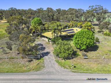 Farm For Sale - VIC - Miepoll - 3666 - Charming Rural Retreat at 411 Walshs Road, Miepoll  (Image 2)