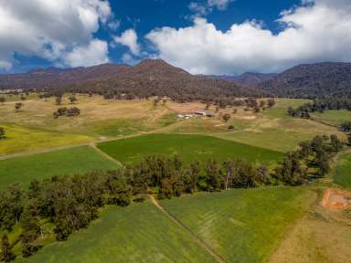 Farm For Sale - NSW - Denman - 2328 - “Glen Gallic” 1692 Martindale Road, Martindale Via Denman - Hunter Valley NSW  (Image 2)