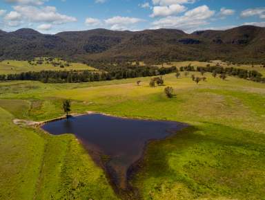 Farm For Sale - NSW - Denman - 2328 - “Glen Gallic” 1692 Martindale Road, Martindale Via Denman - Hunter Valley NSW  (Image 2)