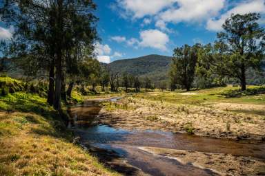 Farm For Sale - NSW - Denman - 2328 - “Glen Gallic” 1692 Martindale Road, Martindale Via Denman - Hunter Valley NSW  (Image 2)