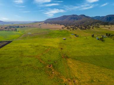 Farm For Sale - NSW - Denman - 2328 - “Box Ridge” 931 Martindale Road, Martindale Via Denman - Hunter Valley NSW  (Image 2)