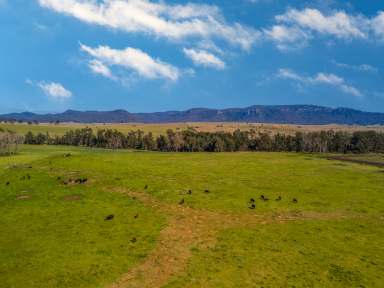 Farm For Sale - NSW - Denman - 2328 - “Box Ridge” 931 Martindale Road, Martindale Via Denman - Hunter Valley NSW  (Image 2)