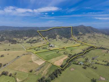 Farm For Sale - NSW - Vacy - 2421 - Prized Paterson River Frontage, Flats, Water & Production  (Image 2)