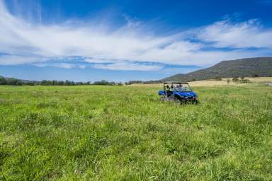 Farm Auction - NSW - Vacy - 2421 - Prized Paterson River Frontage, Flats, Water & Production  (Image 2)