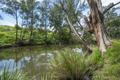 Farm Auction - NSW - Vacy - 2421 - Prized Paterson River Frontage, Flats, Water & Production  (Image 2)