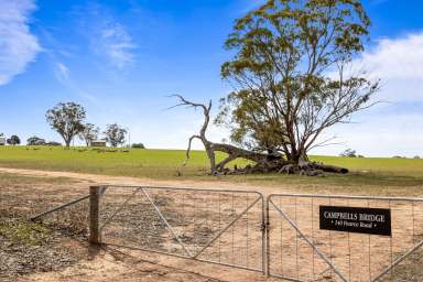 Farm For Sale - VIC - Campbells Bridge - 3387 - Greens Creek Cropping/Grazing Opportunity  (Image 2)