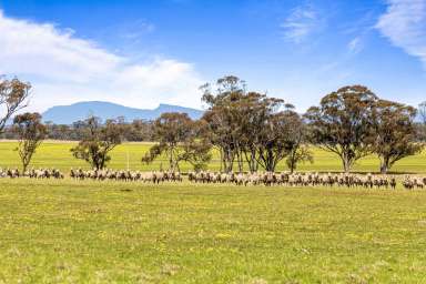 Farm For Sale - VIC - Campbells Bridge - 3387 - Greens Creek Cropping/Grazing Opportunity  (Image 2)