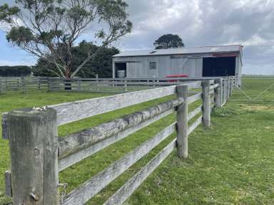 Farm For Sale - VIC - Tarrone - 3283 - Tarrone Out Paddock.  (Image 2)