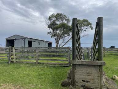 Farm For Sale - VIC - Tarrone - 3283 - Tarrone Out Paddock.  (Image 2)