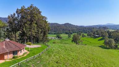 Farm For Sale - NSW - Upper Orara - 2450 - ARCHITECTURAL DESIGN AND ENTERTAINERS’ PARADISE  (Image 2)