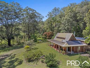 Farm For Sale - NSW - Green Pigeon - 2474 - Secluded Nature Retreat  (Image 2)