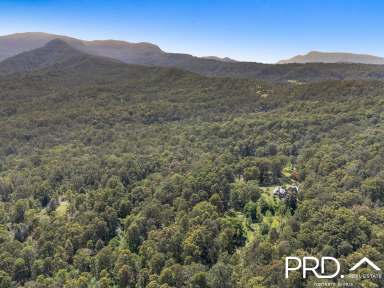 Farm For Sale - NSW - Green Pigeon - 2474 - Secluded Nature Retreat  (Image 2)