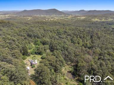 Farm For Sale - NSW - Green Pigeon - 2474 - Secluded Nature Retreat  (Image 2)