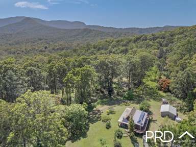 Farm For Sale - NSW - Green Pigeon - 2474 - Secluded Nature Retreat  (Image 2)