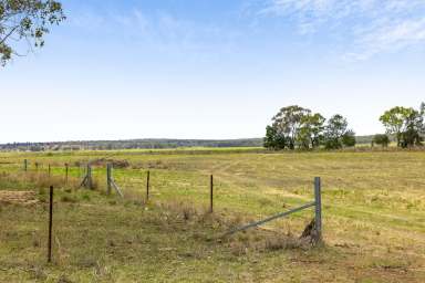 Farm For Sale - QLD - Ellangowan - 4361 - Well positioned 16.5 acre* blank canvas  (Image 2)