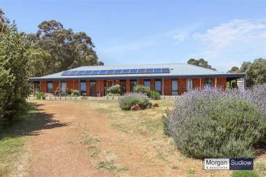 Farm For Sale - WA - Bakers Hill - 6562 - LIFESTYLE WITHIN AN HOUR OF PERTH, WITH SUBDIVISION POTENTIAL.  (Image 2)