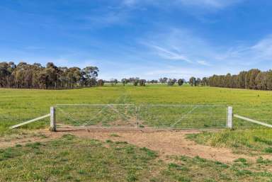 Farm For Sale - VIC - Goornong - 3557 - 338 acres Goornong District  (Image 2)