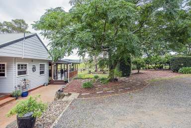 Farm For Sale - NSW - Cooranbong - 2265 - "Quarterforward" - Contemporary Country Living on 104 Acres of Pristine Countryside  (Image 2)