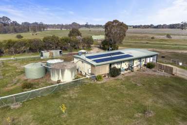 Farm For Sale - VIC - Navarre - 3384 - Equestrian Lifestyle Property  (Image 2)