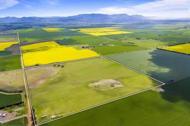 Farm For Sale - VIC - Willaura - 3379 - Calling First Farm Buyers/Existing Landholders  (Image 2)