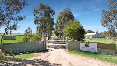 Farm For Sale - VIC - Stratford - 3862 - Must Love Dogs - Lifestyle with Income Potential  (Image 2)