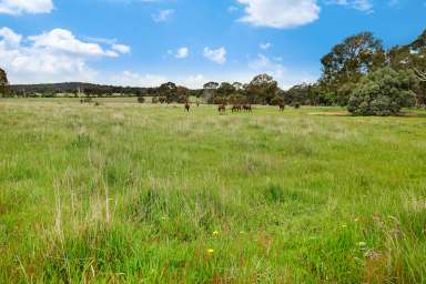 Farm For Sale - VIC - Ararat - 3377 - Lifestyle Block Only Minutes to Town  (Image 2)