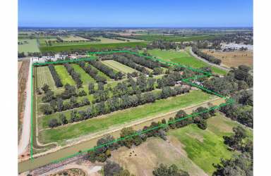 Farm Auction - VIC - Strathmerton - 3641 - Discover the perfect blend of opportunity and lifestyle!  (Image 2)