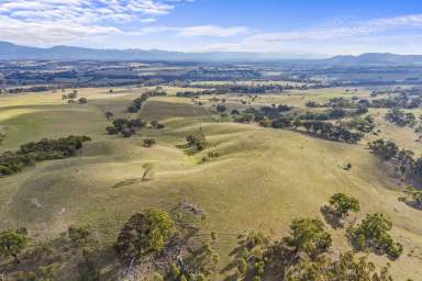 Farm For Sale - VIC - Armstrong - 3377 - Spectacular Lifestyle Property  (Image 2)