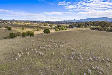 Farm For Sale - VIC - Armstrong - 3377 - Spectacular Lifestyle Property  (Image 2)