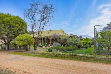 Farm For Sale - VIC - Moyston - 3377 - Ultimate Country Living with Stunning Grampians Views  (Image 2)