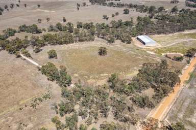 Farm For Sale - VIC - Navarre - 3384 - Rural Block Opportunity  (Image 2)