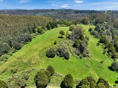 Farm Tender - VIC - Yarragon - 3823 - A Perfect Place to Build to Play and to Enjoy Nature  (Image 2)